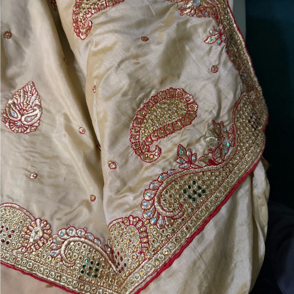 Embroidered Cream and Red Sari